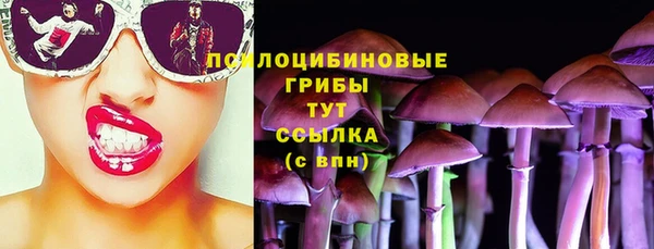 дурь Армянск